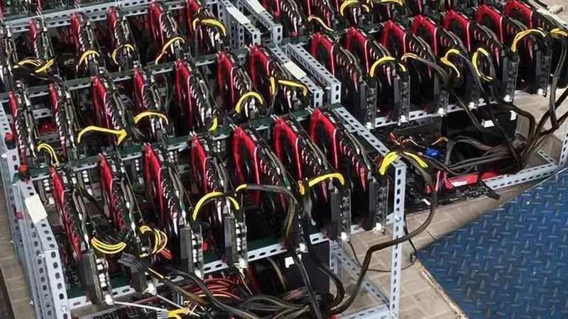 Hình thức Card trâu