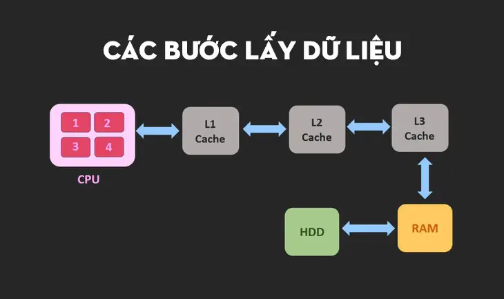 Đặc điểm của Cache L3