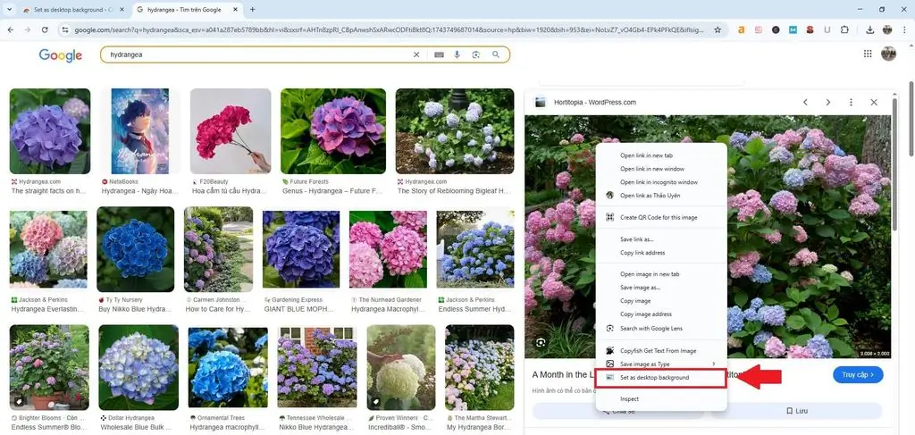 Đổi hình nền Chrome Cách đổi hình nền trực tiếp từ trình duyệt